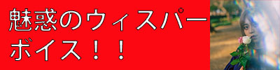 ニーナさん